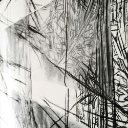 Eliska Kovacikova DISPERSION (10)