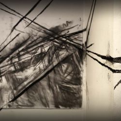 Eliska Kovacikova DISPERSION (5)