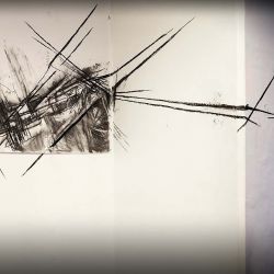 Eliska Kovacikova DISPERSION (7)